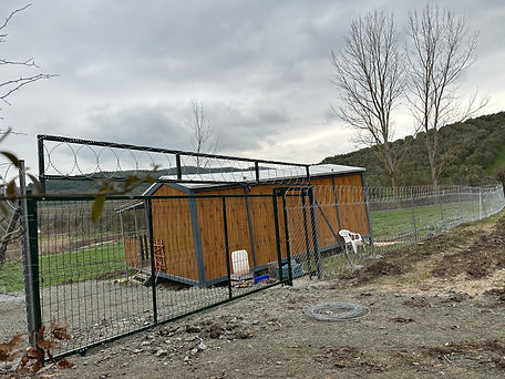 WhatsApp Image 2025-06-12 at 15.54.07.jpeg