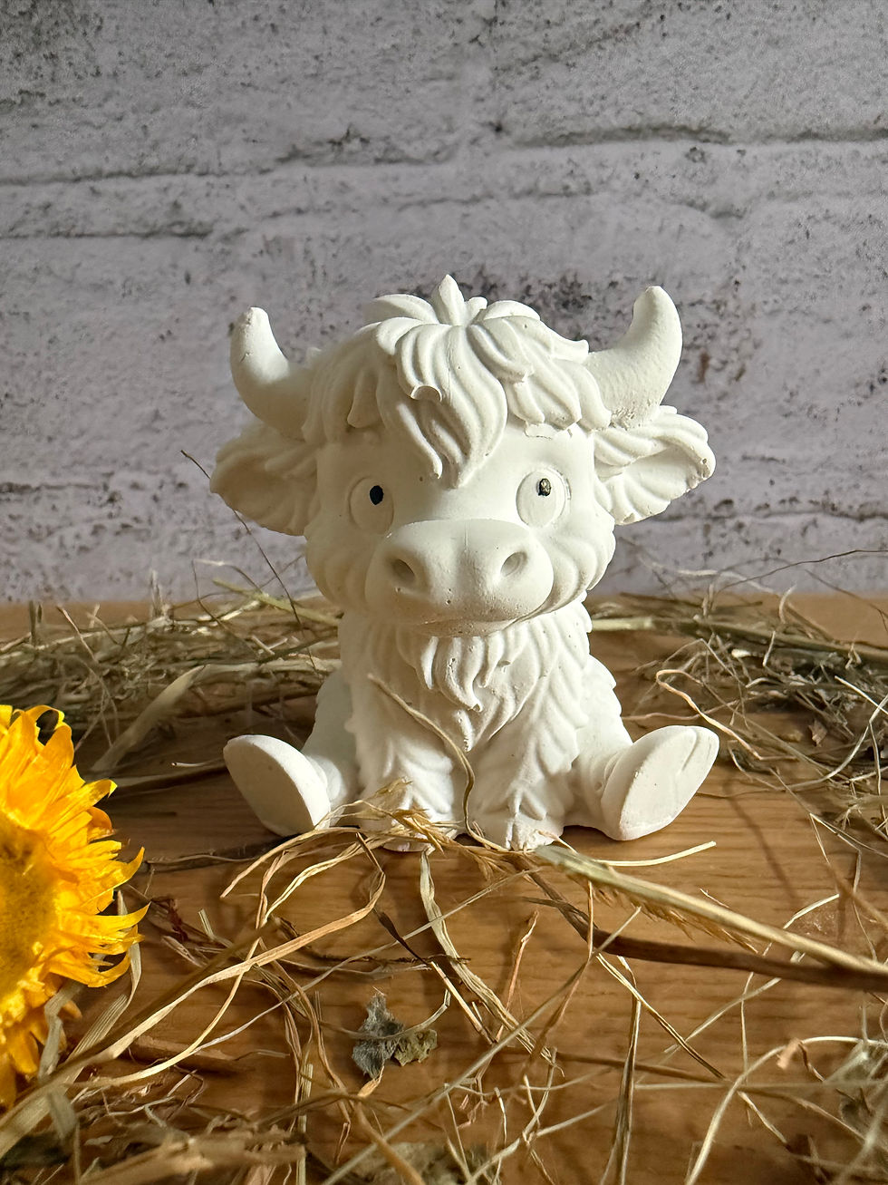Miniaturbild: Hochlandrind Alfie