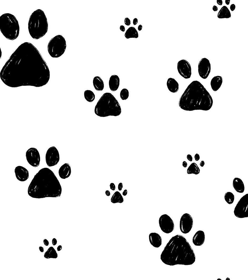 Paw Print