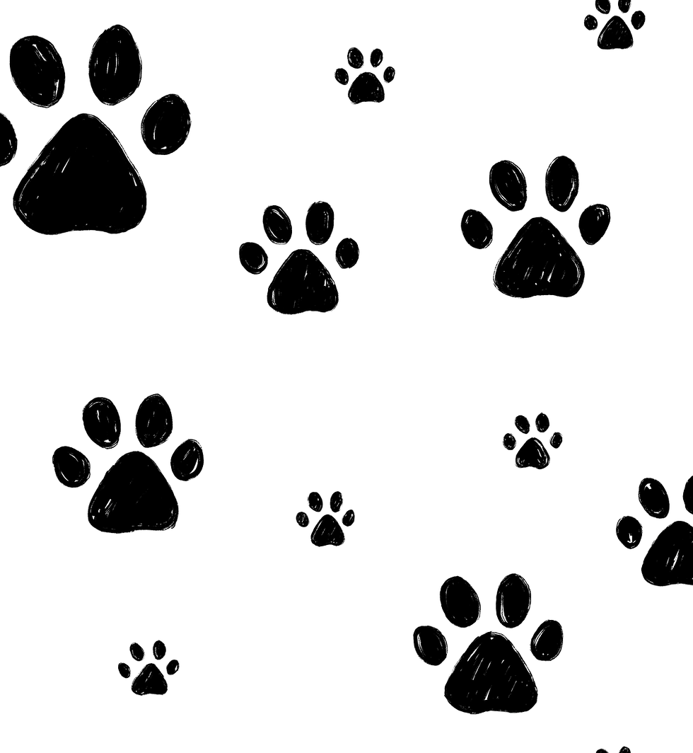 Paw Print