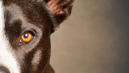 Please welcome to the stage Thor!