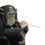 Thumbnail: Harry - Chimpanzee