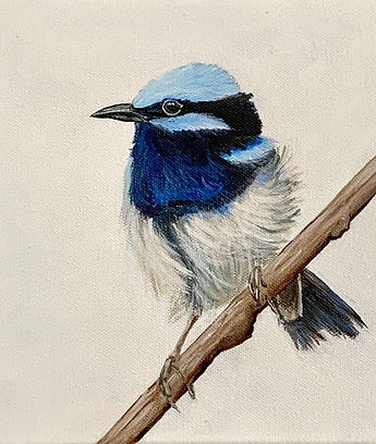 842caf34-00cb-41af-b36c-b19c39f105b7.jpg