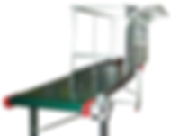 dal maschio conveyor belts and robot guarding