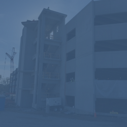 Business Development