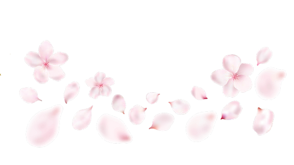 Copy of Untitled Design (9).png