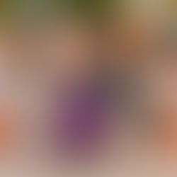 🎃 A Spellbinding Success: Highlights from Our Enchanted Treat Trail 2025!