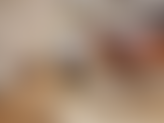 A Flooring Blog: Wood Flooring OR Luxury Vinyl Flooring?