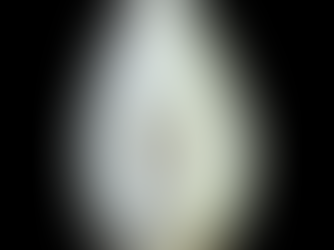 Le vagin est le grand perdant par rapport au clitoris?