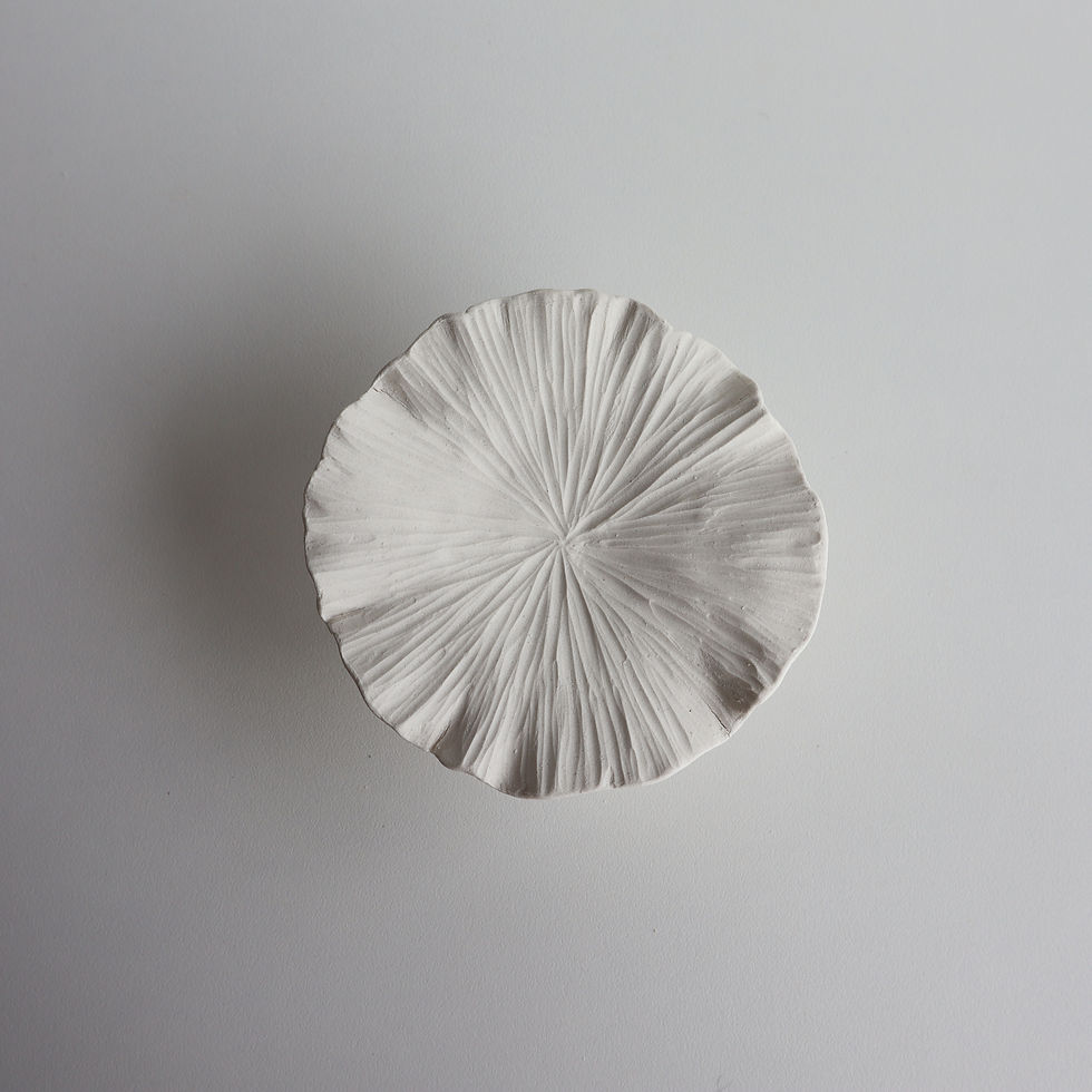 Miniatura: Cabideiro Fungi