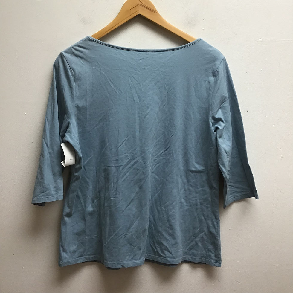 Thumbnail: J.Jill blue top size