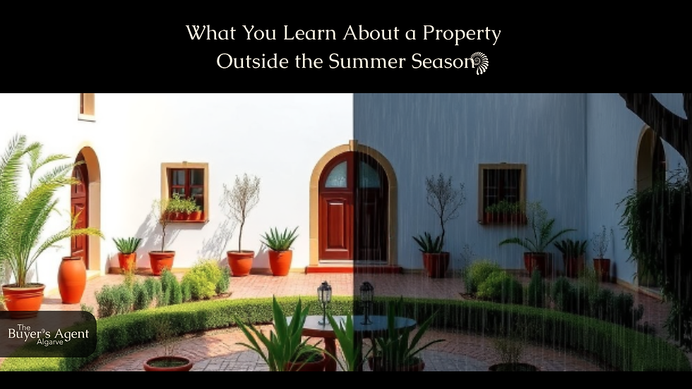 What You Learn About a Property Outside the Summer Season