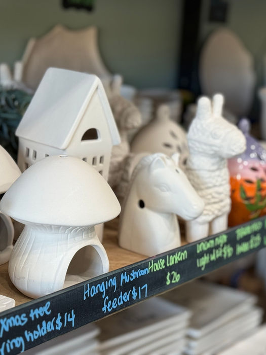 Ceramics to paint at Paint your Pot Cary.