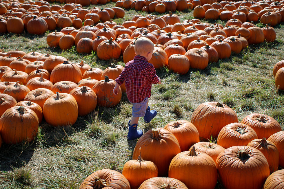 Memory Making Momma (Fall Edition)
