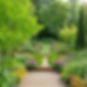 garden with benefits and about me.jpg