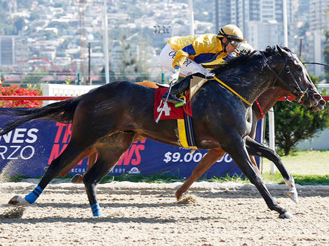 Zoondercak, gladiador de mil batallas