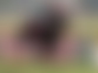 Edgy Night y su año dorado en la Ciudad Jardín