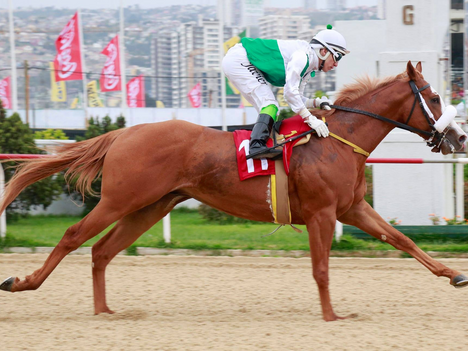 Un regalo caído del cielo - Fallen From Heaven