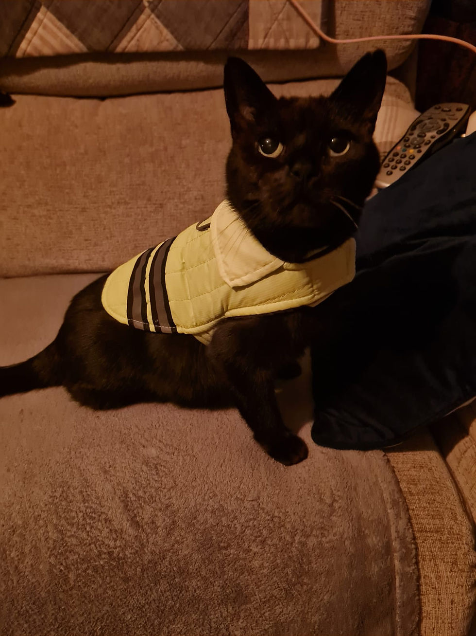 65ad255b-3933-4aeb-ab43-8b189eb60513