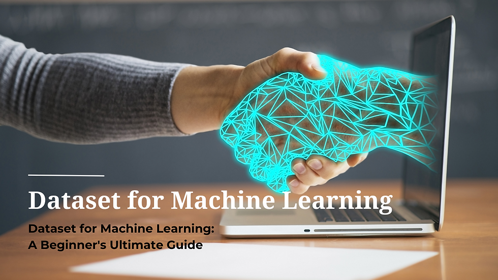Dataset for Machine Learning: A Beginner's Ultimate Guide