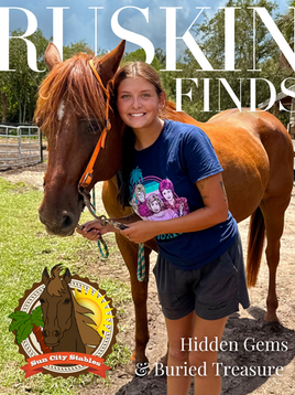 Ruskin Finds: Old Florida Charm at Sun City Stables, Horseback Riding in Ruskin FL