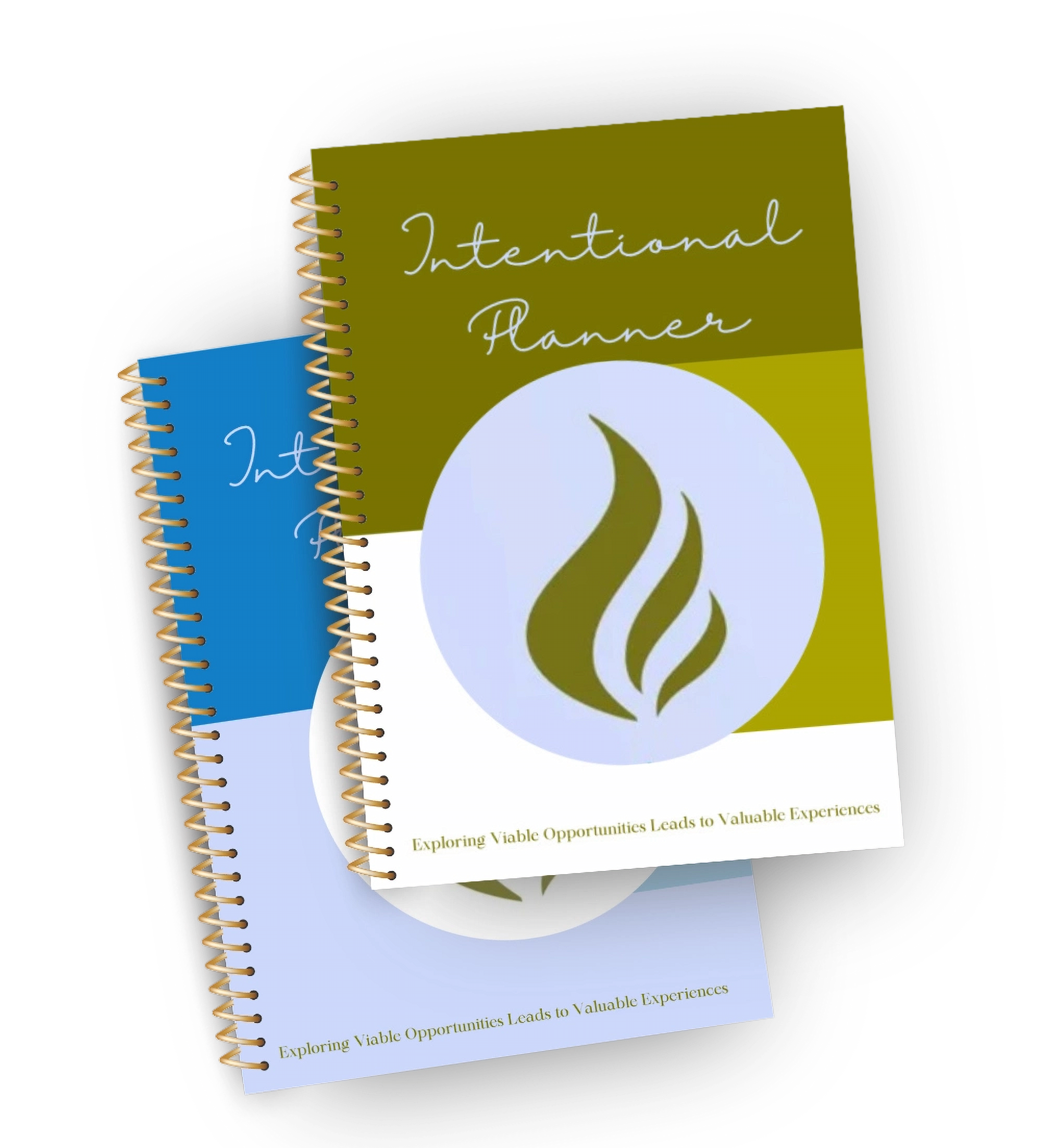 Gold & Blue options of Intentionally Evolve Planners