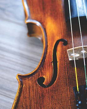 Violino