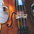 Classic Violin