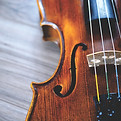 Close-Up Violin