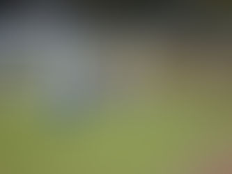 Der Knoten ist geplatzt! 3:1-Heimsieg gegen Eilenburg