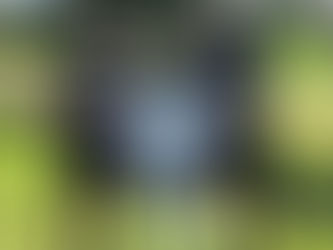Offensivtalent für den VfB: Randolf Riesen wechselt auf Leihbasis nach Glauchau