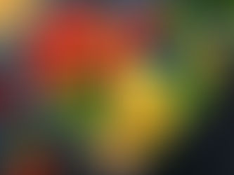 Nourish your heart with vibrant Ayurvedic foods: a heart-shaped arrangement of fresh fruits, vegetables, and nuts emphasizes natural wellness and vitality.