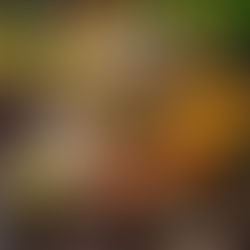 Foods for Optimal Digestion: Ayurvedic Diet Tips for Every Season: Spring Edition