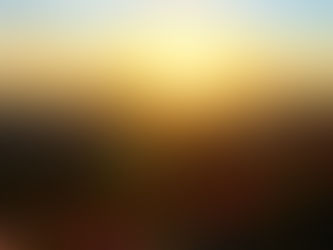 Sunset bathes the mountainous landscape in golden hues, with vibrant wildflowers in the foreground 