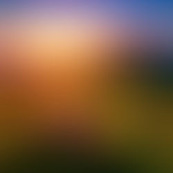 A breathtaking sunset over a serene mountain range, with lush greenery and blooming wildflowers.