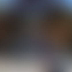 6 mois de campagne municipale : une expérience humaine, artistique et révélatrice