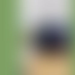 vidéo stage 2025