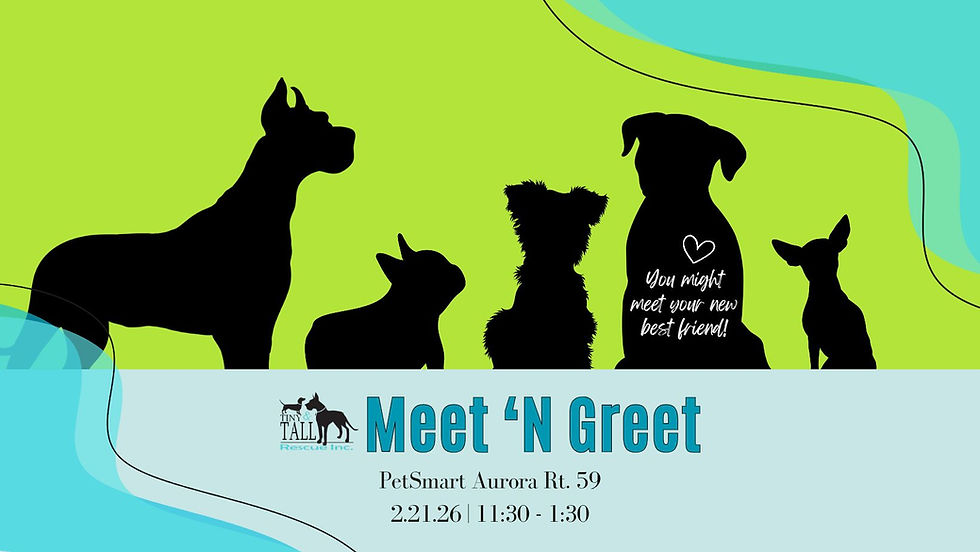 TNT Meet 'N Greet @PetSmart Aurora Rt 59