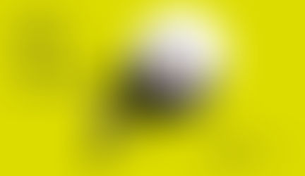 Umzug in den Südpark