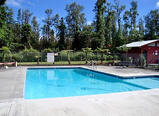 NCApool2(G) copy.jpeg