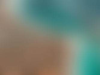 Conectividad internacional y confianza: por qué el capital extranjero elige Punta Cana