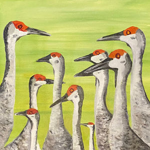 A Siege of Sandhill Cranes