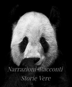 Panda-Narrazioni-Racconti-Storie Vere_Edit