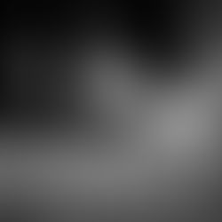 Dicono di noi... La volpe