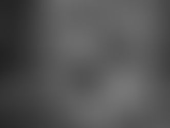 Cane con bastone in bocca