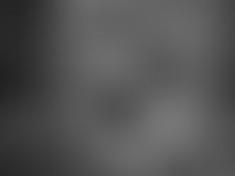 Cane con bastone in bocca