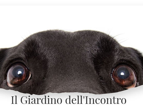 Webinar i Bisogni Primari (Abstract)