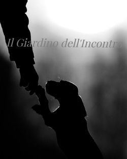 Cane-uomo_IlGiardinodellIncontro__edited_edited