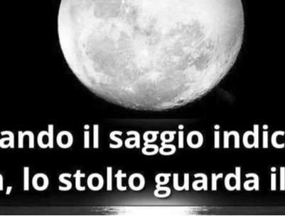 Cosa intendiamo per saggezza animale?