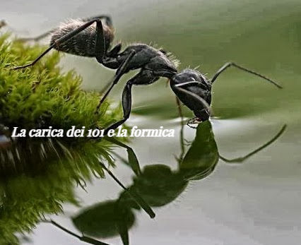 La carica dei 101 e la formica